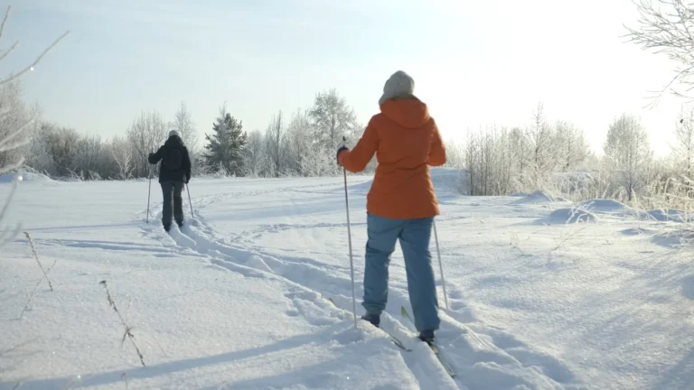 Slow motion rear view of skiers skiing down the snowy path on a frosty winter day. Creative. People